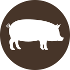 Pork icon